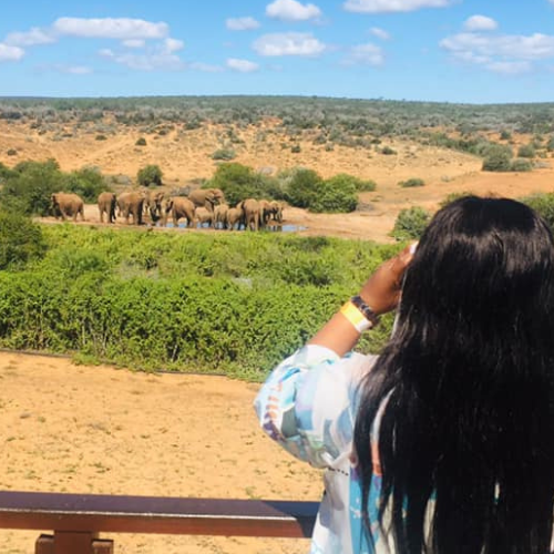 Addo Big 5 Safari Game Drives and Adventure Tours