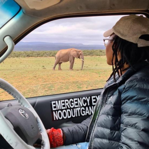 Addo Big 5 Safari Game Drives and Adventure Tours
