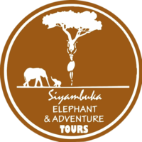 Siya Elephant And Adventure Tours
